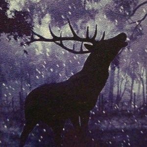 Meet your Posher, Juli